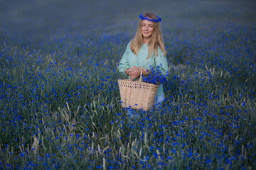 A beautiful girl with long blond hair and a beautiful elf in a cornflower-blue field with a bouquet of flowers against the blue sky 