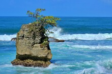 White Waves Crashing Against Rock Caribbean Manzanillo Limon Costa Rica