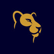 Lioness logo design, vector illustration
