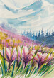  Meadow with blooming purple crocuses on mountains background. Picture created with watercolors.