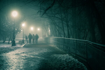 Poster - Alley of a night winter park in a fog. Footpath in a fabulous winter city park at night in fog with benches and latterns. Beautiful foggy evening in the Mariinsky Park. Kyiv, Ukraine.