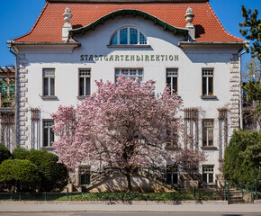 Wall Mural - Vienna, Austria: Stadtpark park direction office with large magnolia tree