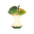 Jabłko - ogryzek. Ilustracja zielonego ogryzionego jabłka  z listkiem na białym tle.