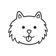 Wall Mural - Cute Pomeranian Spitz face. German spitz dog head icon. Hand drawn isolated vector illustration in doodle style on white background