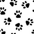 seamless paw background isolated on white