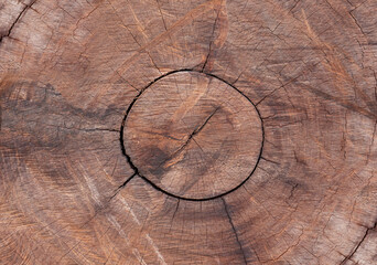 Circle of wood pattern. The face pattern is cut around the age of the wood. The texture of the wood grain is cut with a chainsaw.