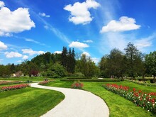 A Beautiful Path Among The Flowers In The Spring Park, Tulips And Blue Sky