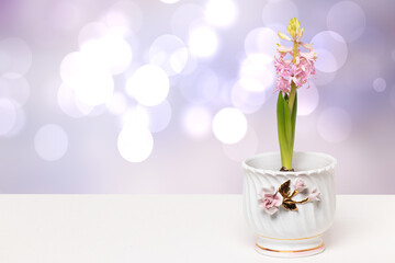 Wall Mural - Flower decoration background. Close-up of beautiful pink hyacinth with tender buds and fresh greenery in a decorative white vase on bright desk over abstract blurred pink background.