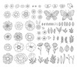 Vector hand-drawn spring design elements. Vintage rustic floral illustrations. Branches, leaves, flowers, butterflies, birds.