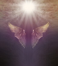 Divine Healing Light Angel Wings Background - Bright White Star Burst Above Golden Magenta Angel Wings Against A Deep Red Brown Background With Copy Space
