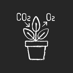 Sticker - Air purifying plant chalk white icon on black background. Plants clean the air through the process of photosynthesis. Oxygen level increasing. Isolated vector chalkboard illustration