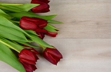 Wall Mural - Beautiful red tulips isolated on a wooden background top view stock images. Fresh dewy tulips on a wood background with copy space for text stock photo. Bouquet of red on the table tulips frame images