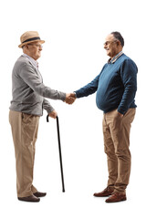 Wall Mural - Full length profile shot of a mature and elderly an shaking hands