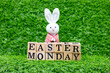 Easter Monday decoration. art, traditional, egg shell, easter, symbol, greeting, illustration, white, april, happy easter, easter monday, easter egg, colorful, dyed, composition, cute, set, celebratio