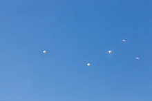 Skydivers Descending In The Blue Sky