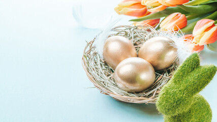 Wall Mural - Easter eggs basket. Golden egg in basket with spring tulips, white feathers on pastel blue background in Happy Easter decoration. Traditional decoration in sun light.