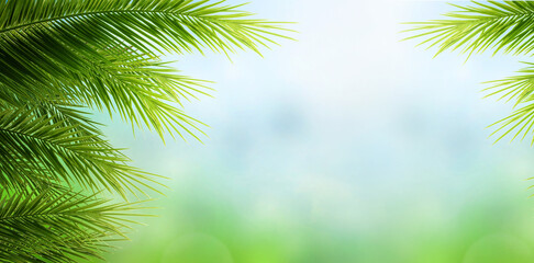 World Environment Day concept: Palm Tree Leaves  on blue sky background