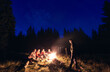 © anatoliy_gleb - Friends spend an evening by burning fire at campsite in forest.