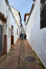 Wall Mural - Judios Street, Cordoba, Spain