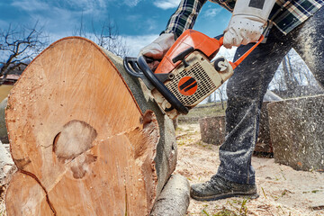 Lumberjack with chainsaw working