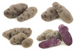 purple truffle potatoes and a cut one on a white background