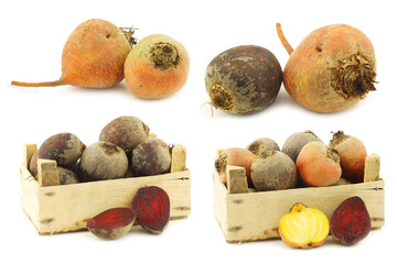 Wall Mural - colorful mix of red,yellow and white beets in a wooden box on a white background