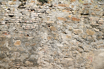 Moldy stone wall through damp walls structure