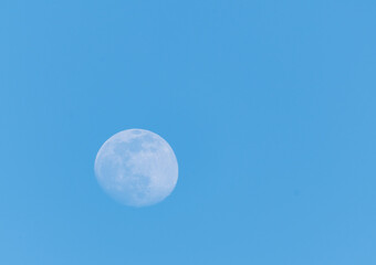 Wall Mural - moon in the sky