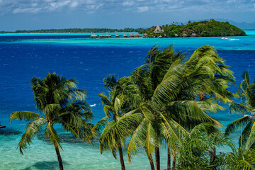 Wall Mural - Bora Bora island French Polynesia