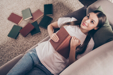 Poster - Top above high angle photo of young attractive woman rest break pause lie couch happy positive smile hold book indoors