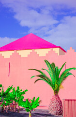 Wall Mural - Fashion tropical location. Pink Wall. Palm. Blue summer sky. Canary islands. Travel advertising banner wallpaper