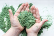 Green sea salt in the child hands