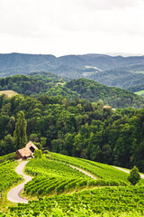 Wall Mural - Famous heart shaped road at vineyards Špičnik in Slovenia. Rows vineyards near Maribor, close to the Austrian. Scenic grape landscape and green hills.