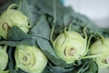 fresh green kohlrabi