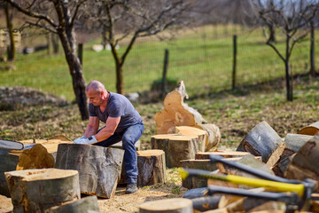 Wall Mural - Strong man moving big cut beech logs