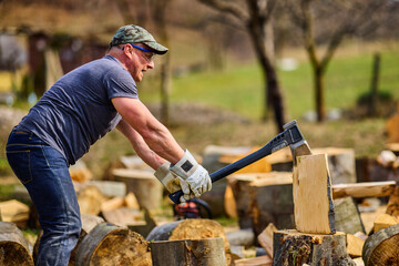 Wall Mural - strong man splitting beech logs with an ax