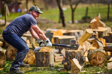 Wall Mural - strong man splitting beech logs with an ax