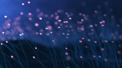 Wall Mural - 3d rendering colorful particle line like a flower grow. glowing lines and light particles on dark bl