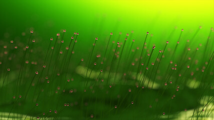 Wall Mural - 3d rendering colorful particle line like a flower grow. glowing lines and light particles on dark bl