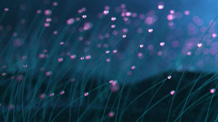 Wall Mural - 3d illustrationcolorful particle line like a flower grow. glowing lines and light particles on dark 