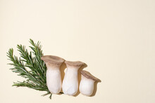 Three Fresh King Oyster Mushrooms, Rosemary Sprigs On A Yellow Background In Sunlight.