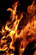 © V-Veronic@ - Bonfire fire on a May night, burning firewood, orange flames, darkness. Hot passionate fire dance.