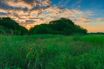 campo verde al atardecer con el sol amarillo