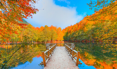 Autumn forest landscape reflection on the water with wooden pier - Autumn landscape in (seven lakes) Yedigoller Park Bolu, Turkey