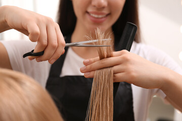 Sticker - Stylist cutting hair of client in professional salon, closeup