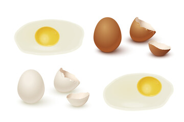 raw egg, yolk and protein, eggshell set. organic fresh food for breakfast vector illustration. broke