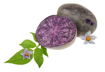 Sticker - Violet potato, leaves and flowers. Full depth of field, detailes retouched, high dynamic range