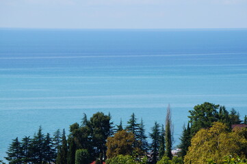 Poster - lake and trees