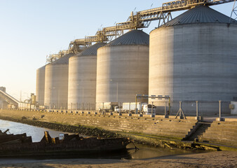 Trucks at the port