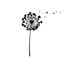 Dandelion Love Flower, With Flying Seeds Heart Shape, Vector Illustration.
